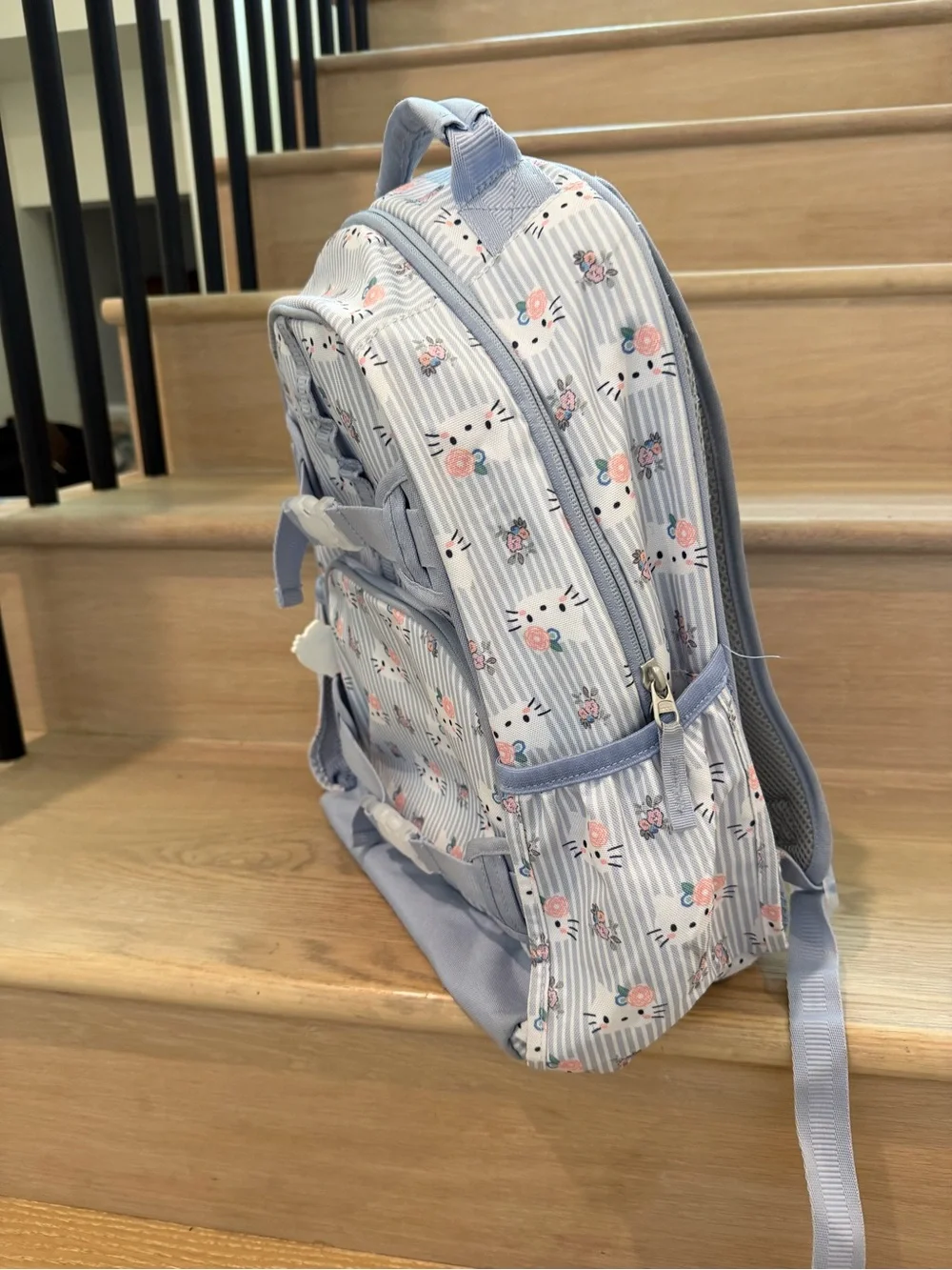 Pottery Barn Kids Large Light Blue Floral Stripe Backpack and Lunch Bag Set